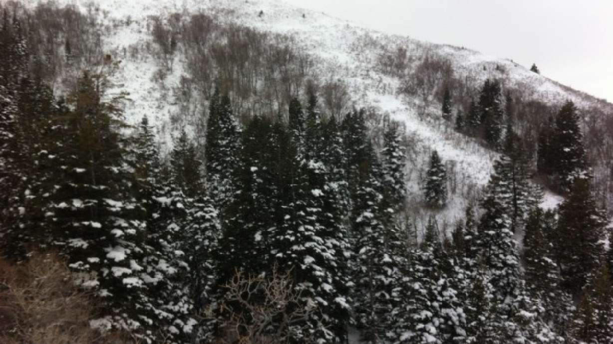 Why you should snowshoe at Rudy's Flat