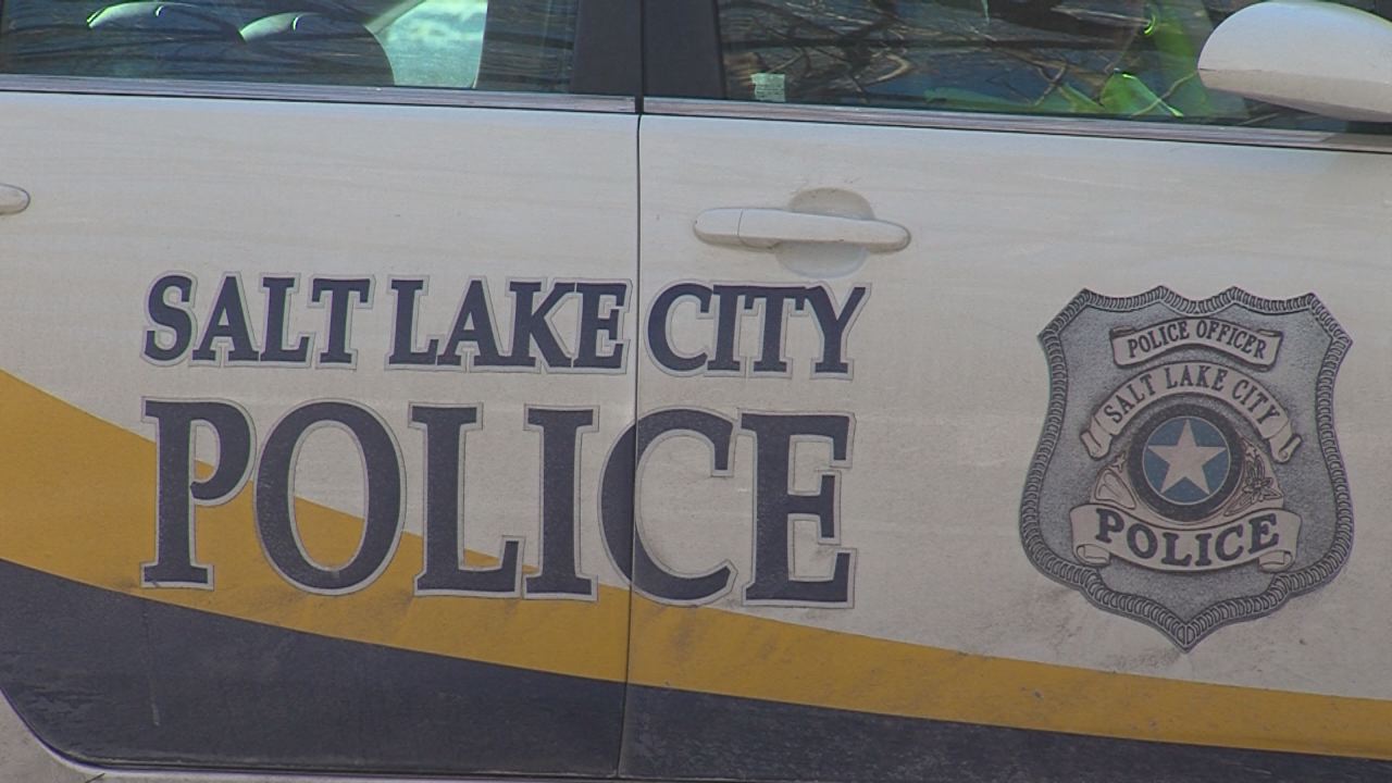 Man arrested after allegedly swinging machete at officers