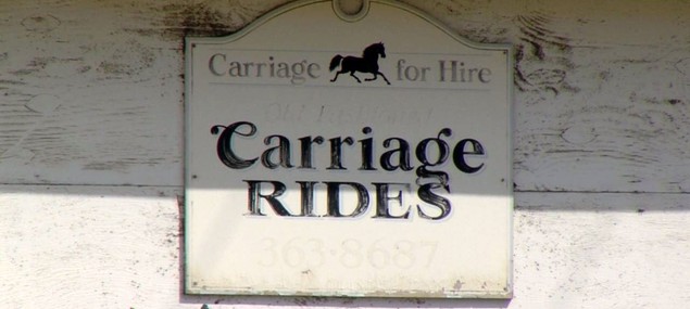 Residents request ban, regulation on carriage horses during public hearing