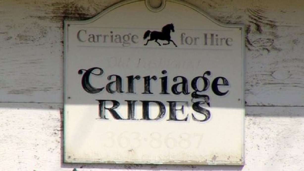 Residents request ban, regulation on carriage horses during public hearing