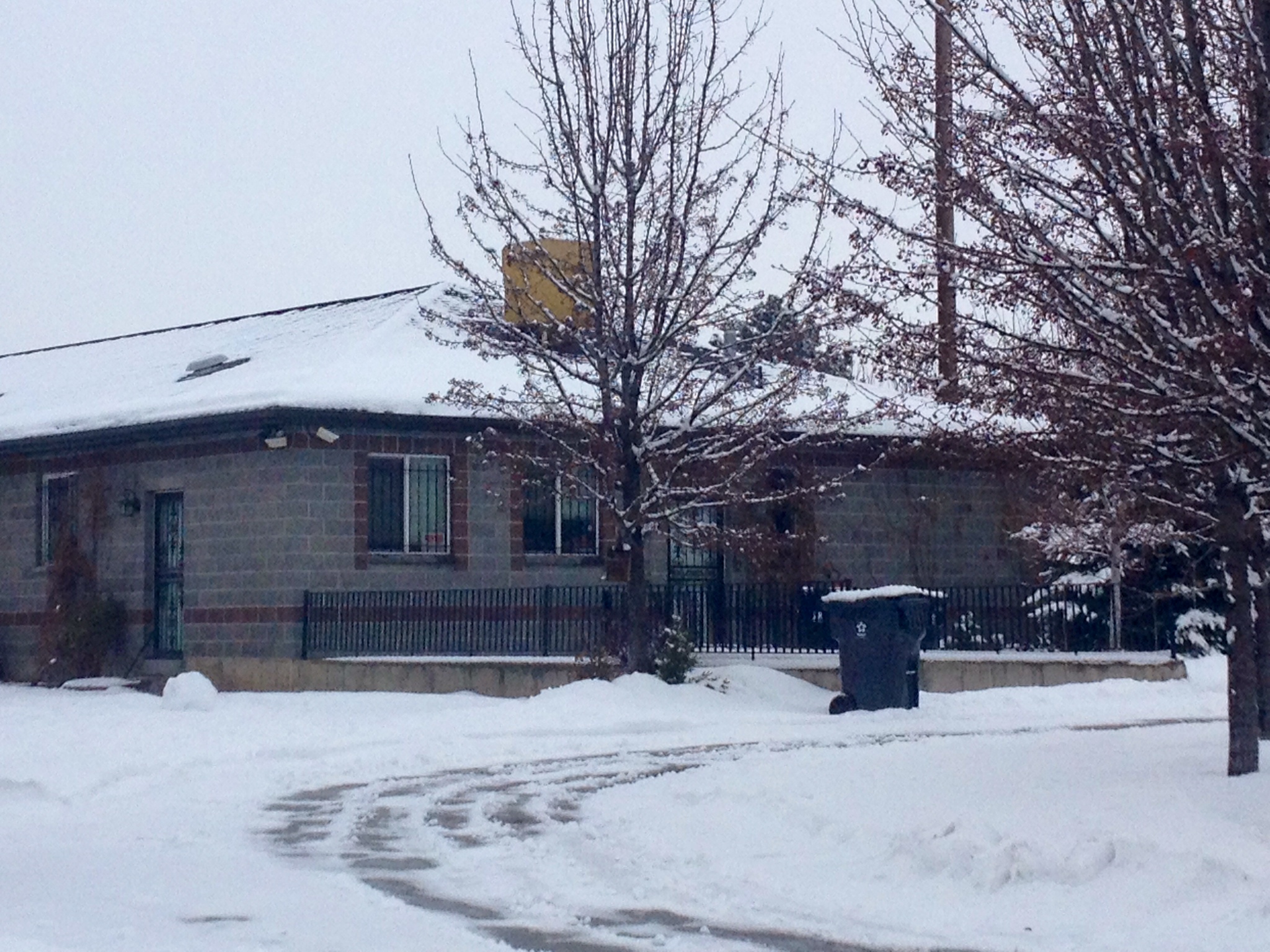 Brother, sister allegedly smuggled rare boa constrictor into US