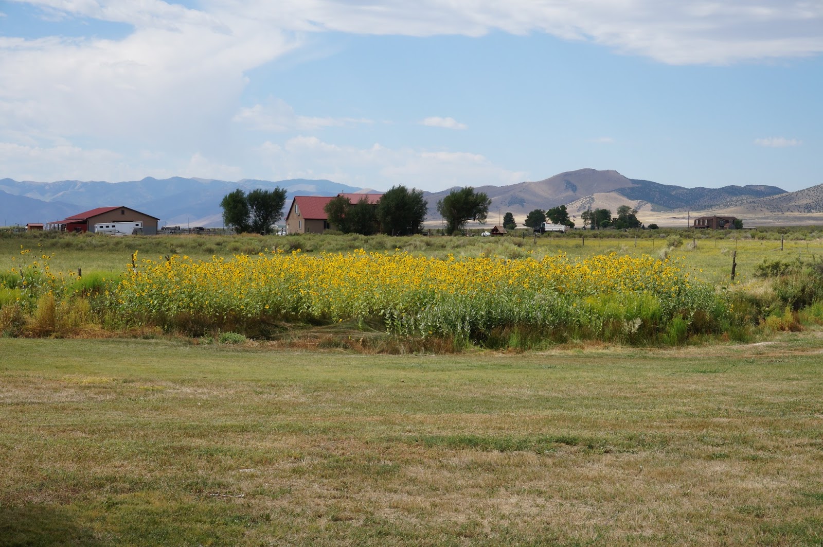 The site of the original Camp Floyd