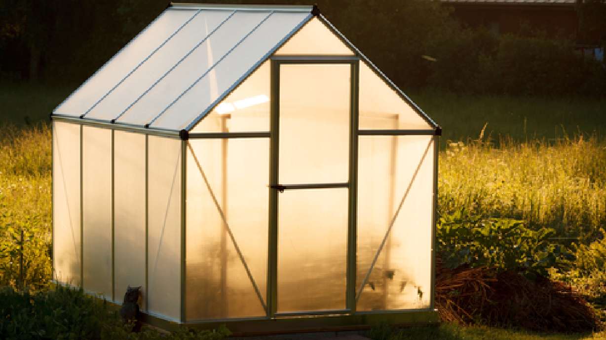 Greenhouses