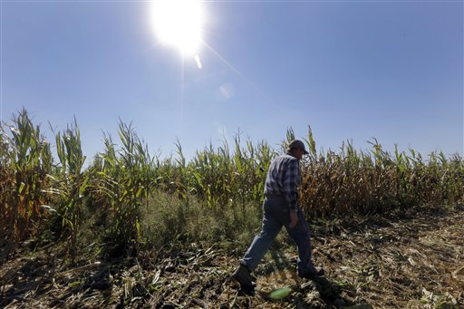Senado enviará a Obama ley para el campo