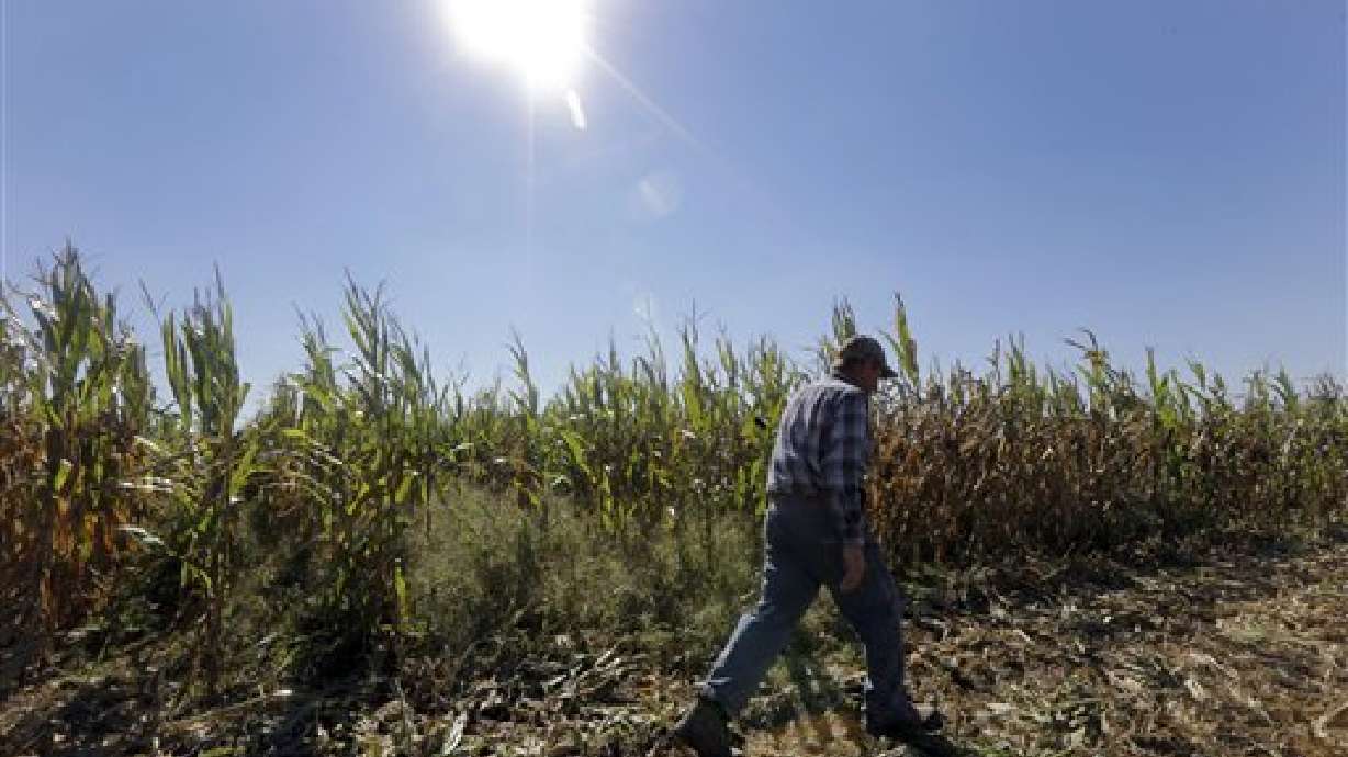 Senado enviará a Obama ley para el campo