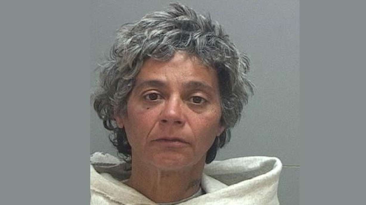 Woman accused of stabbing man identified