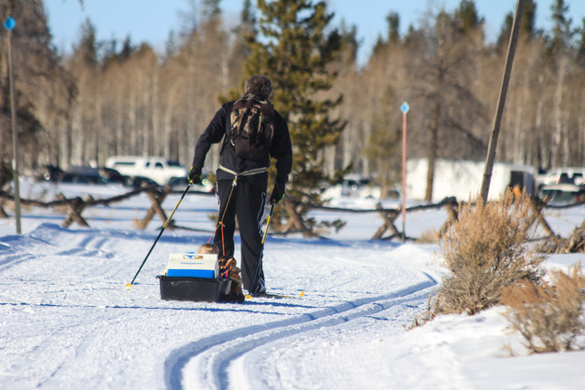 A beginner's guide to winter recreation on the north slope of the Uintas