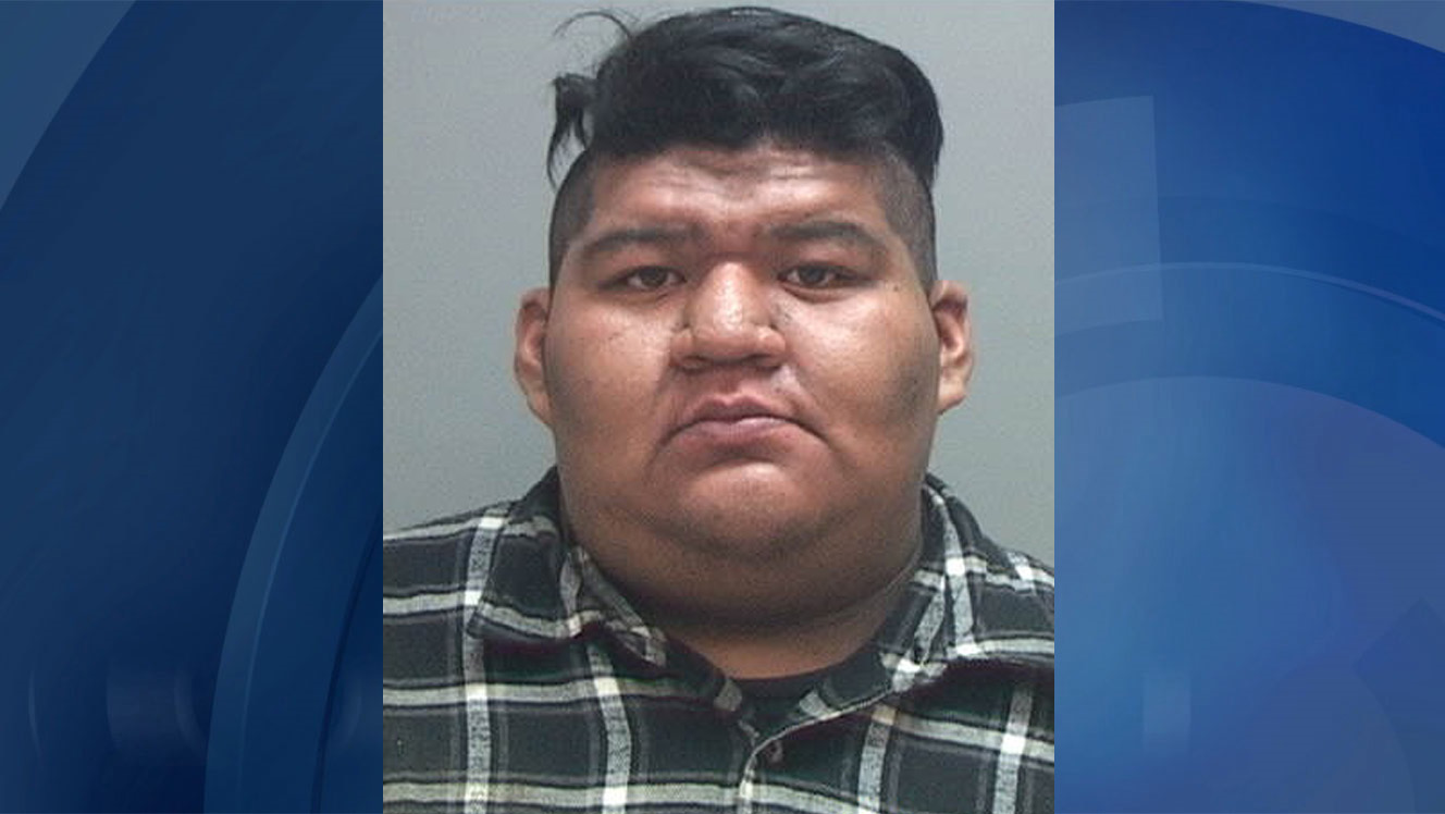 Police use pepper spray, Taser to subdue man in robbery attempt