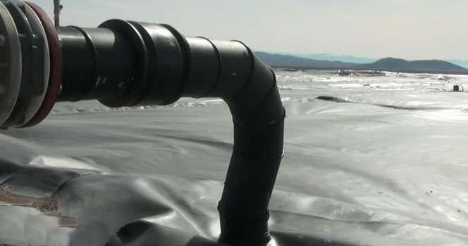 Pig manure provides power for thousands of Utah homes