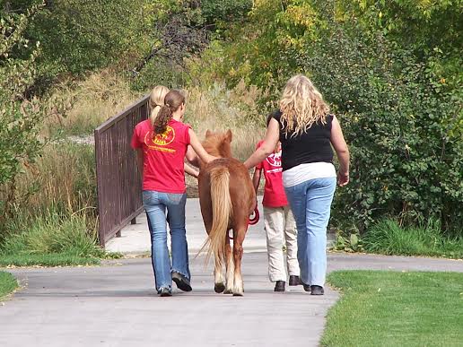 Highland horse ranch works to empower those with disabilities