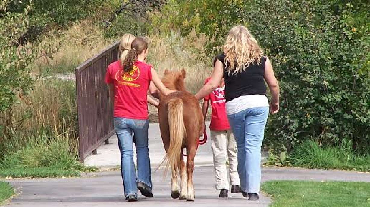 Highland horse ranch works to empower those with disabilities