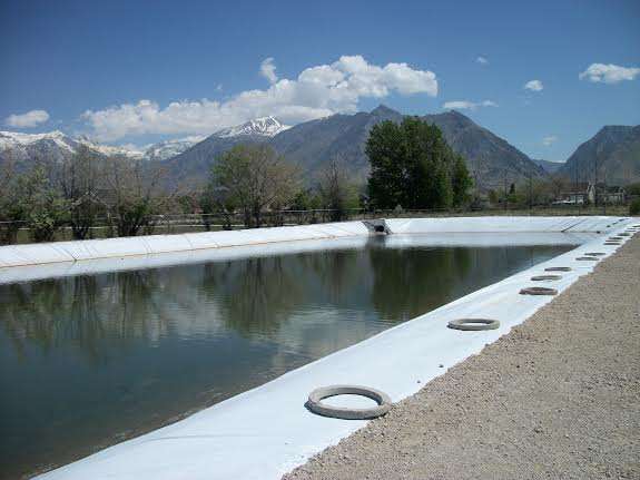 The pastures at Courage Reins are watered by an onsite reservoir.