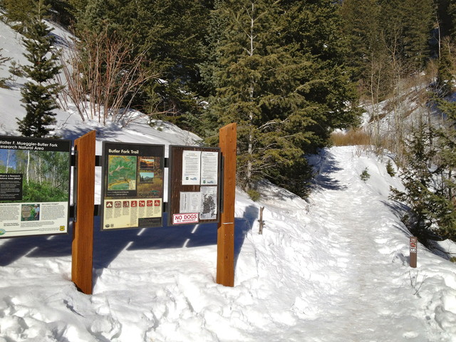 Why you should ski the backcountry of the Wasatch Mountains