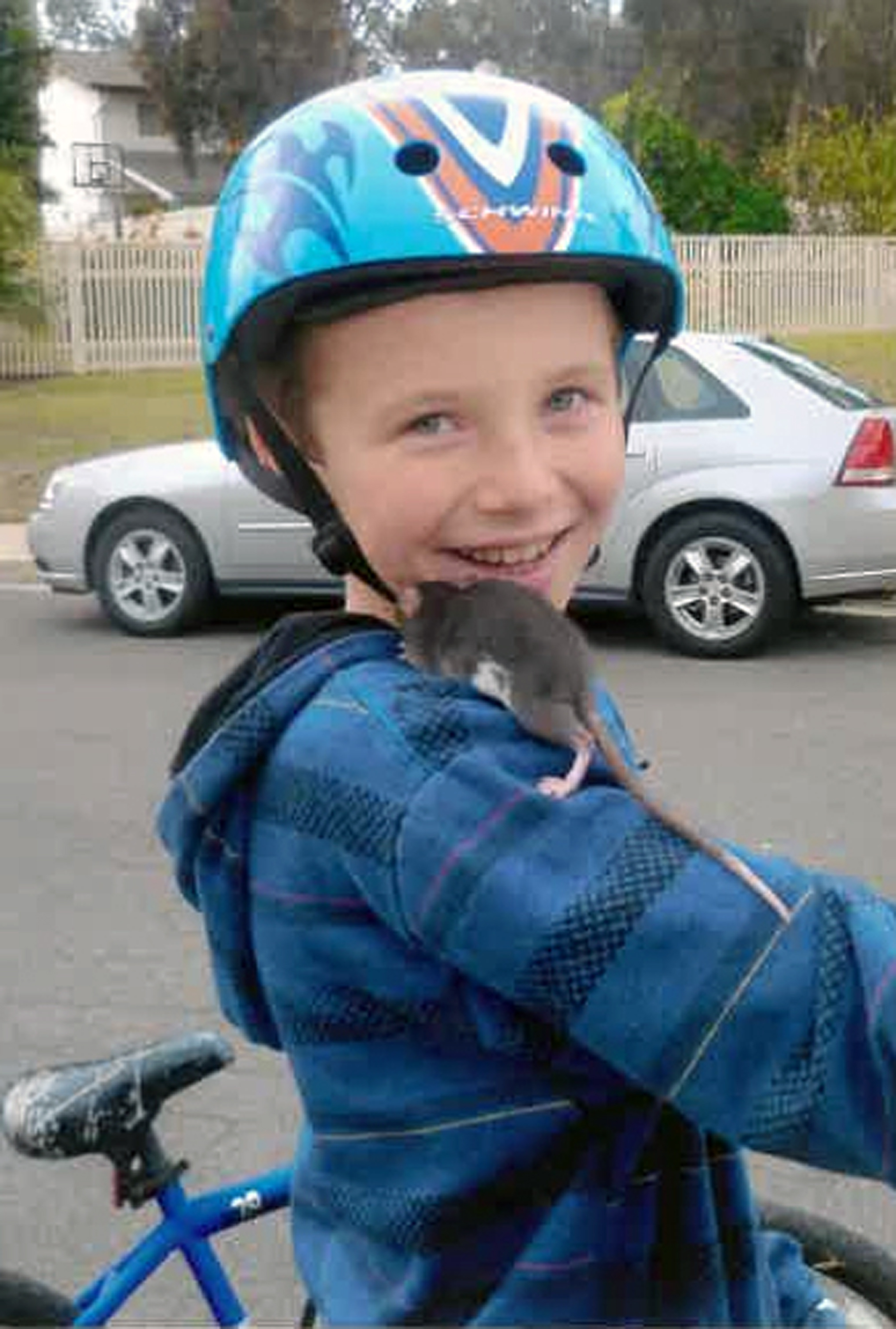Boy's death from infected rat spurs suit vs. Petco