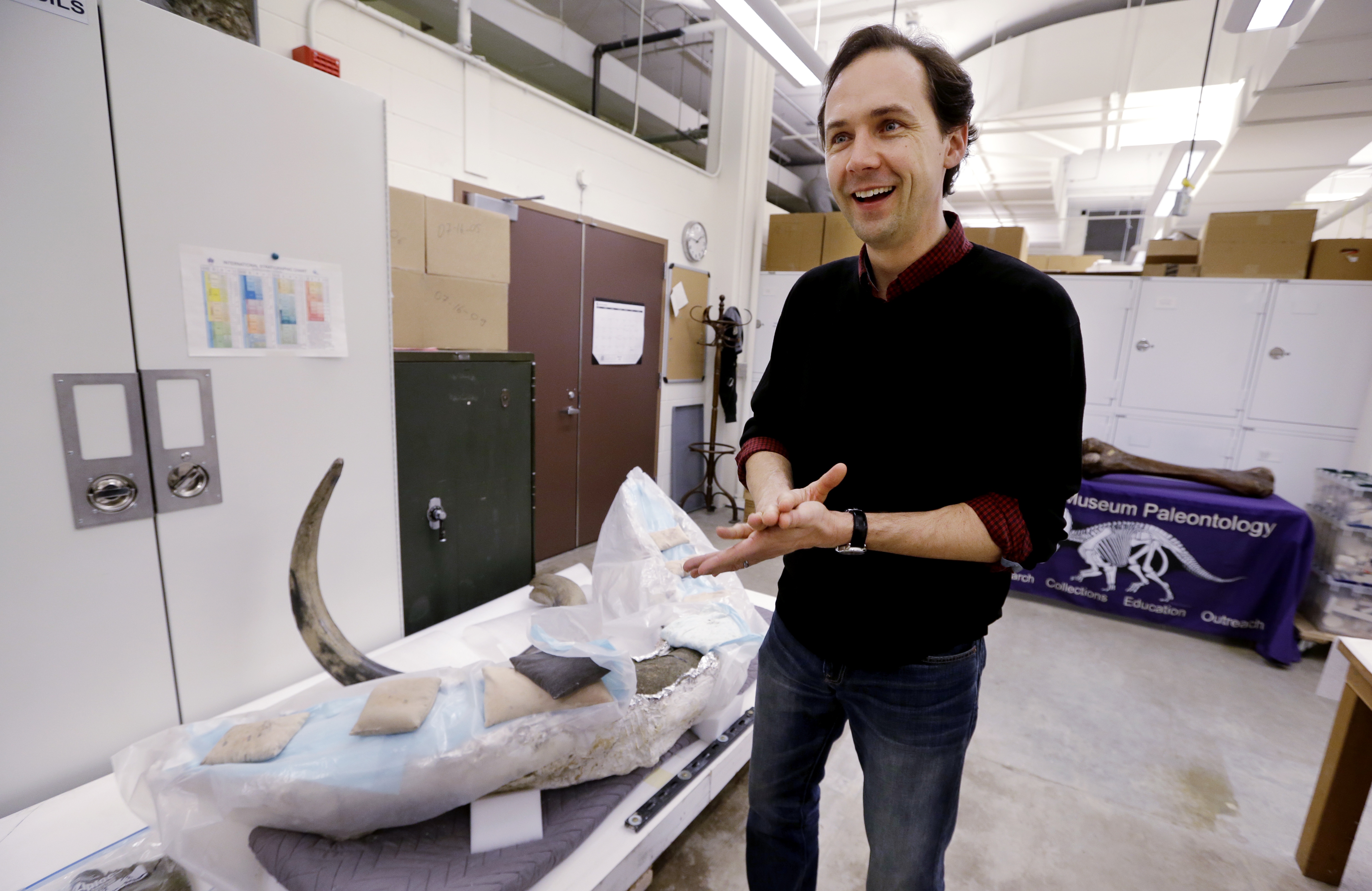 DNA could tell story of Seattle mammoth tusk