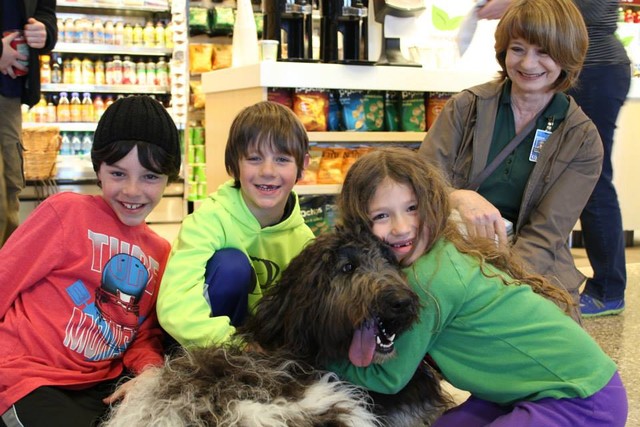 Therapy dogs visit Salt Lake airport