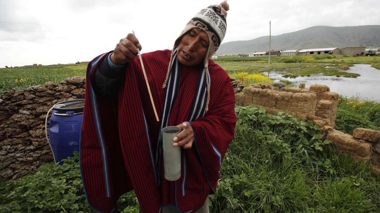 Age-old indicators under stress in high Bolivia
