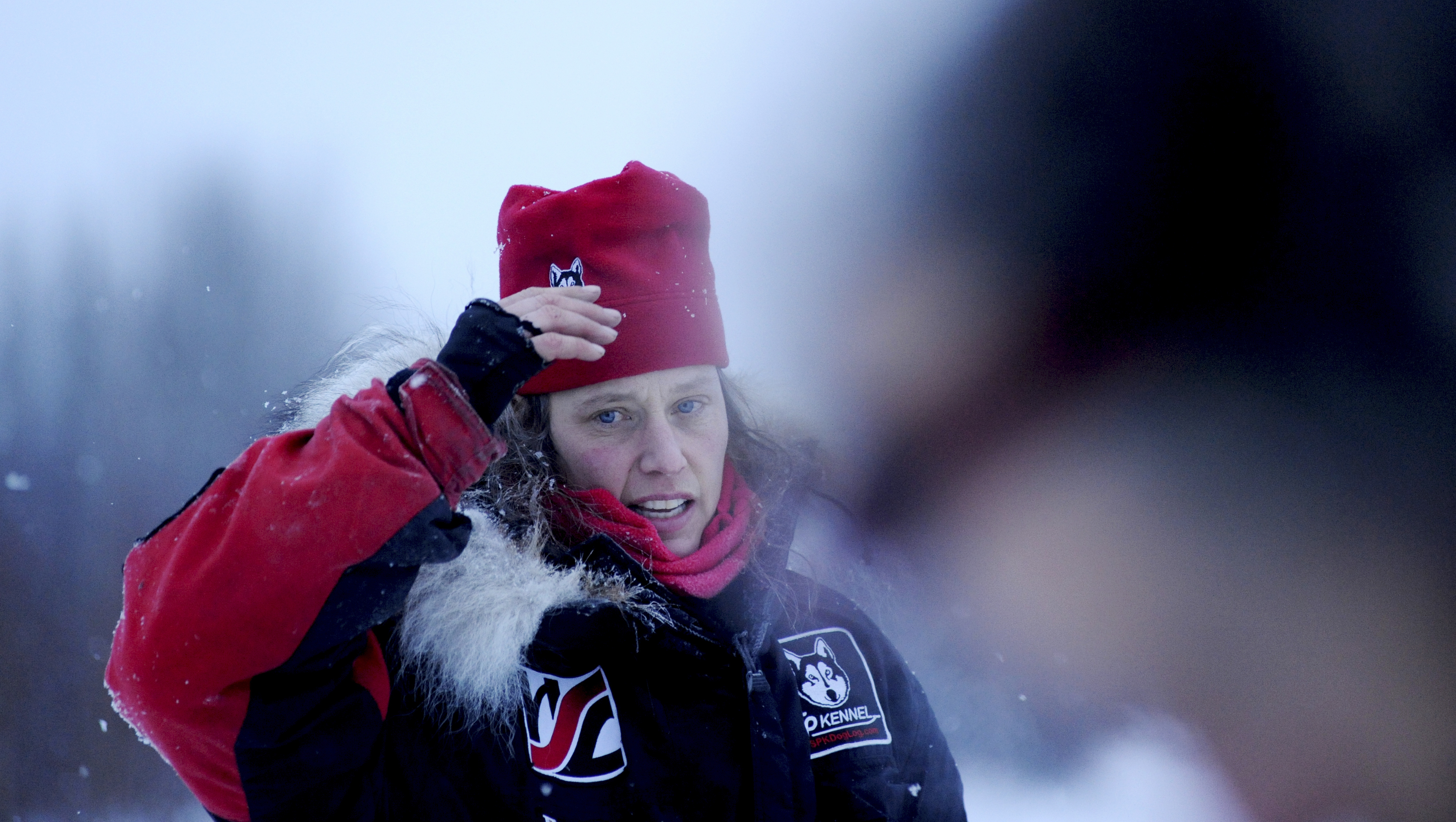 Zirkle aims for Iditarod title after narrow misses