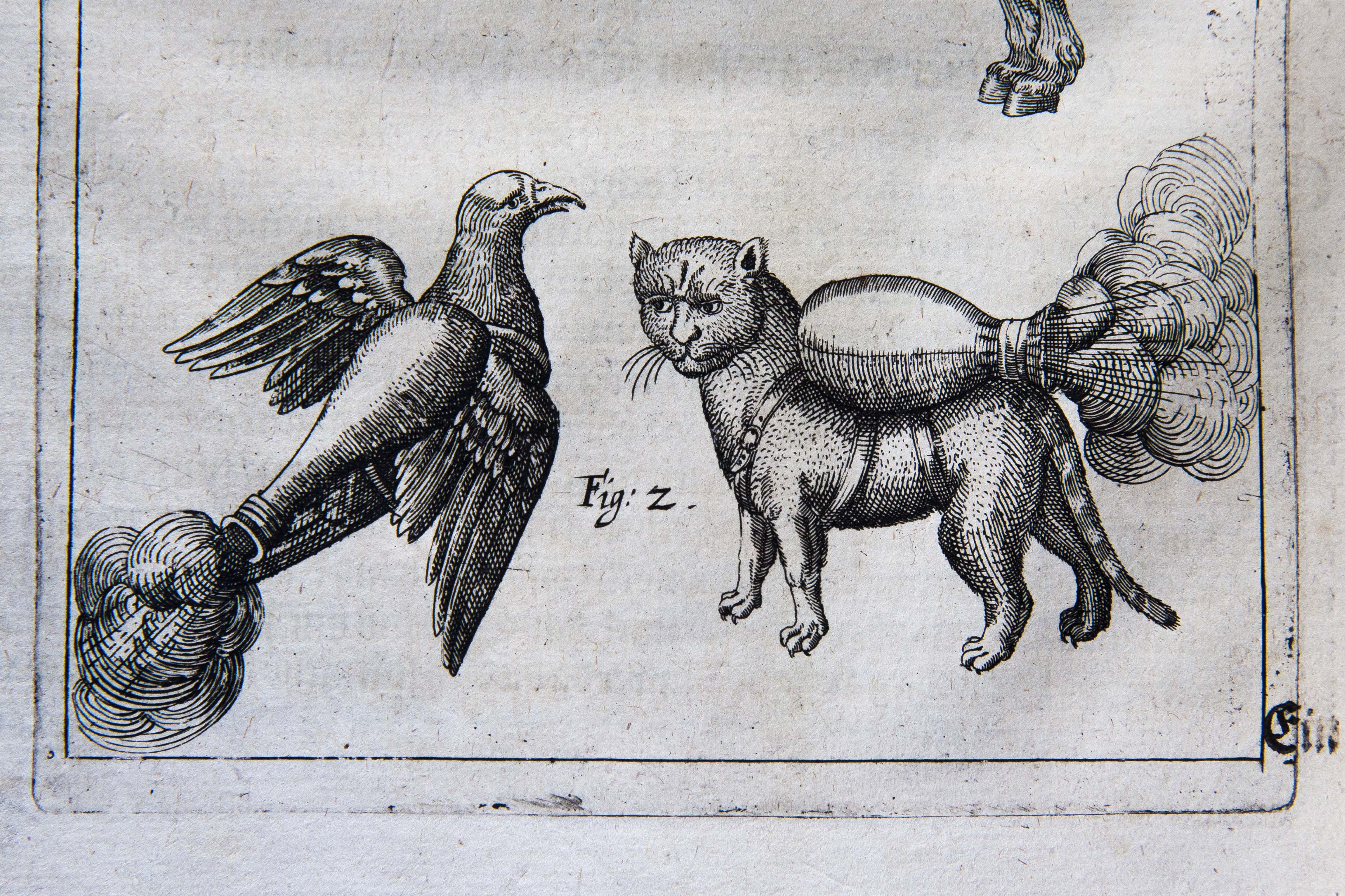 16th-century manual shows 'rocket cat' weaponry