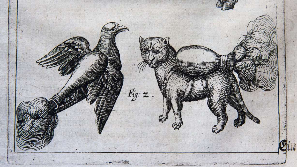 16th-century manual shows 'rocket cat' weaponry