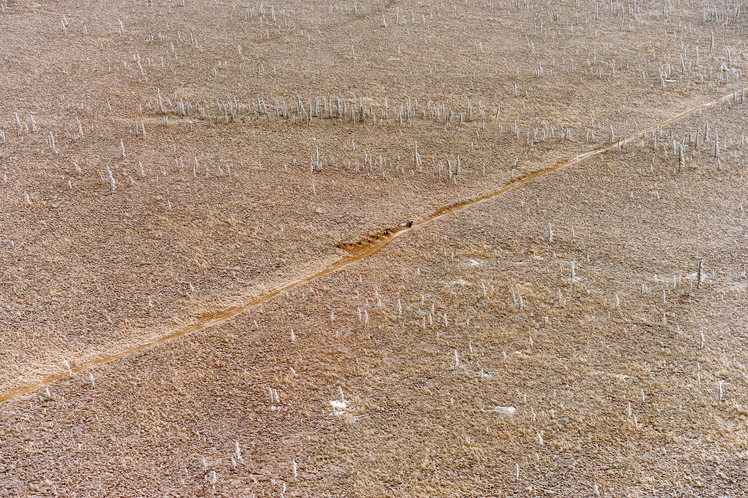 Iditarod: 5 things to know about trail conditions