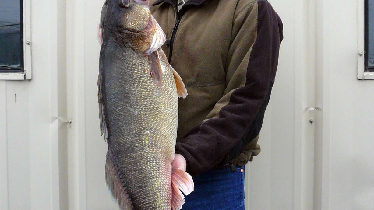 Big walleye caught in Columbia sets state record