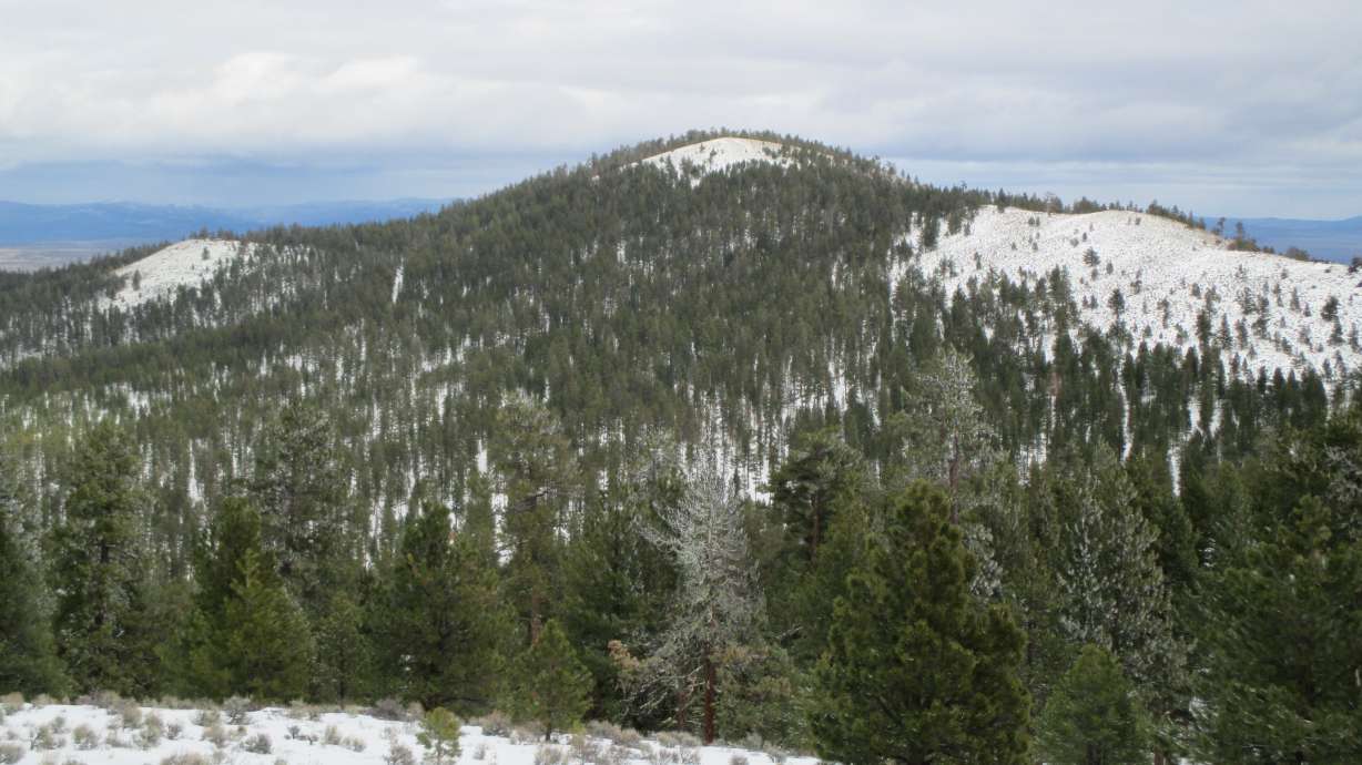 Aborted hike up Pine Mountain still rewarding