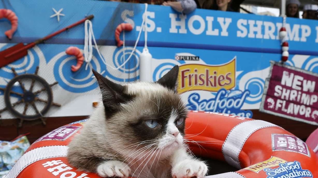 “Official Spokescat” Helps Introduce Friskies® Seafood Sensations with NEW Shrimp Flavor By Delivering a Bounty of the Food to Shelter Cats during Austin-Based Festival; Consumer Support Needed to Maximize Donation up to 50,000 Meals