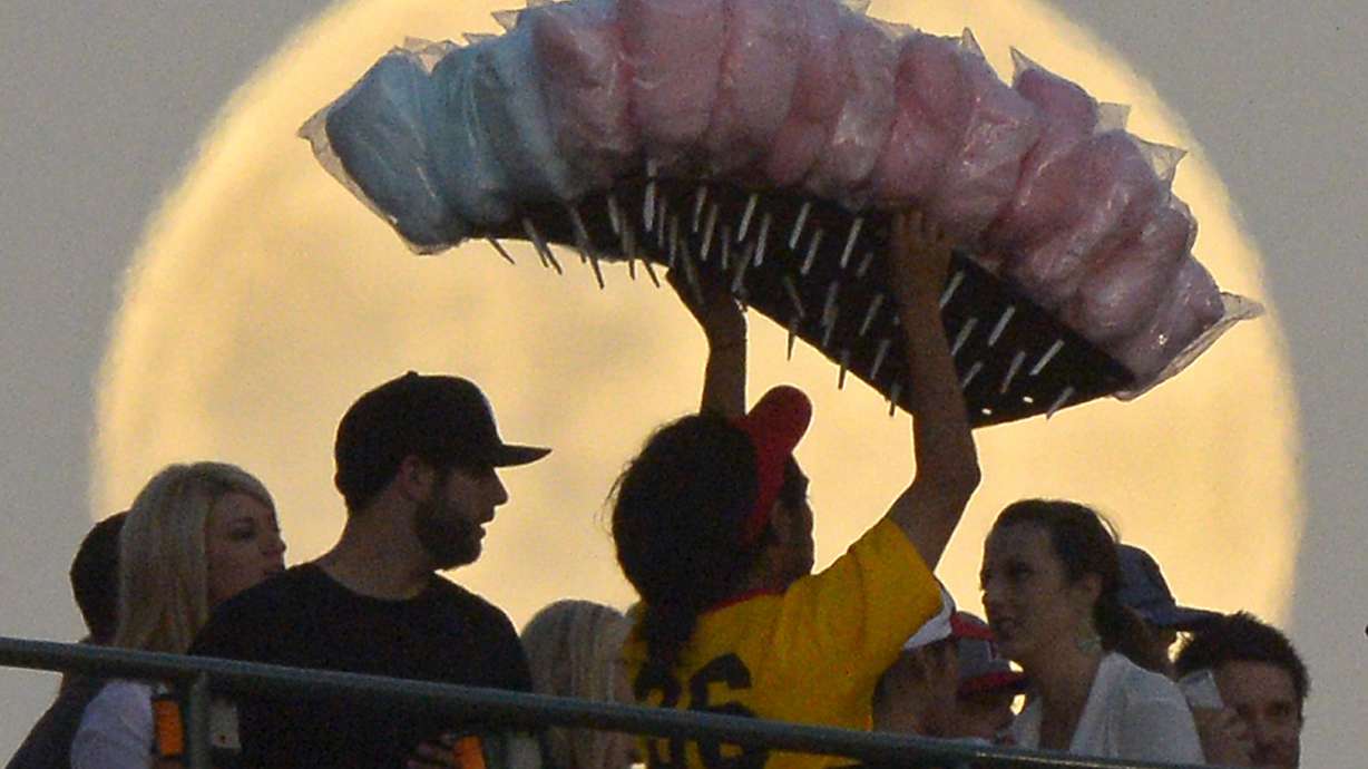 Trio wins story of the year; Terrill photo