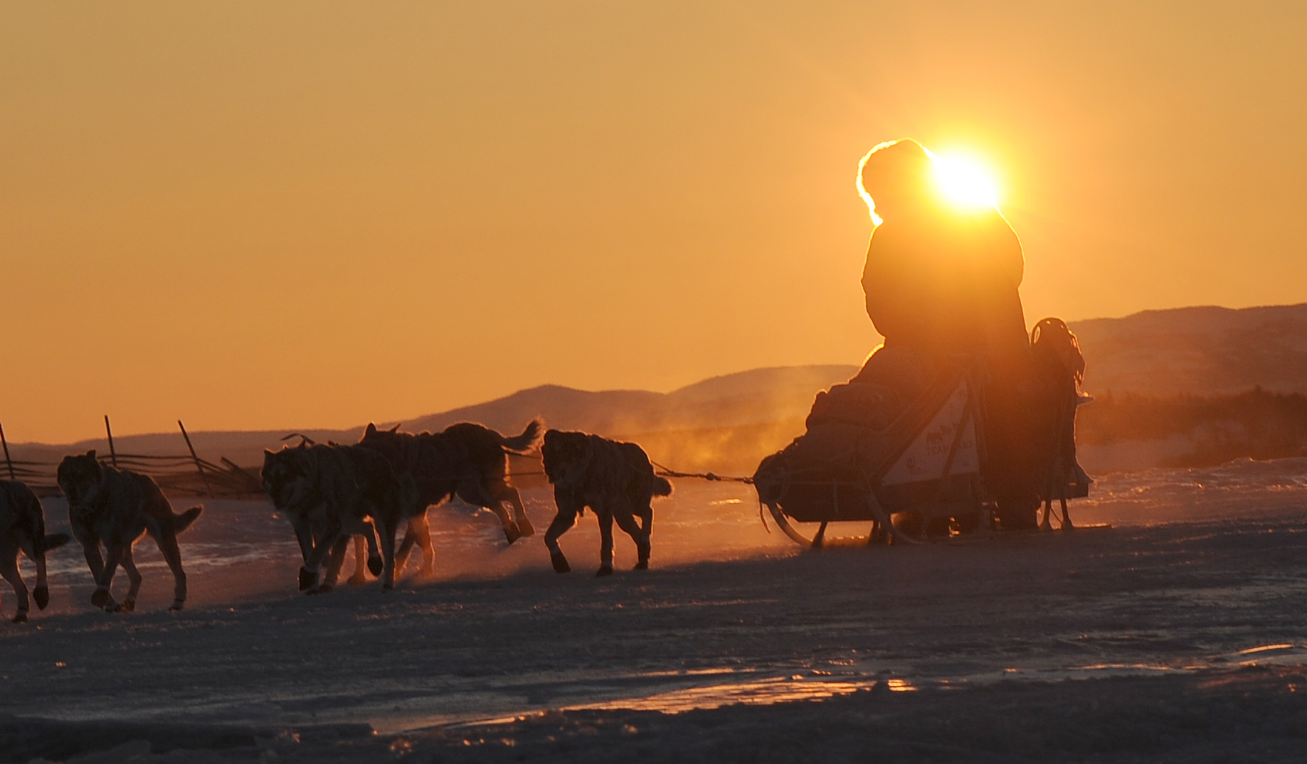 AP PHOTOS: Teams drive toward Iditarod finish line