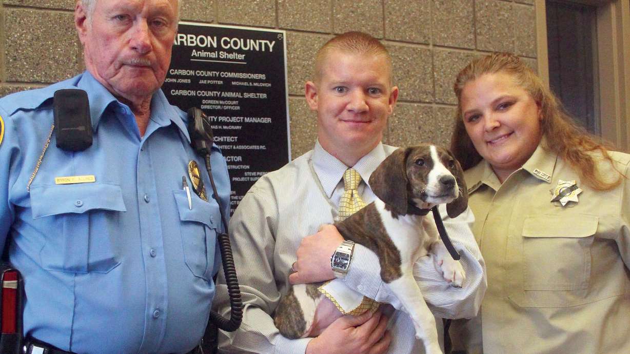 Couple charged with animal cruelty after puppy needs leg amputation