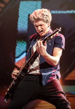 11 famous Irish performers