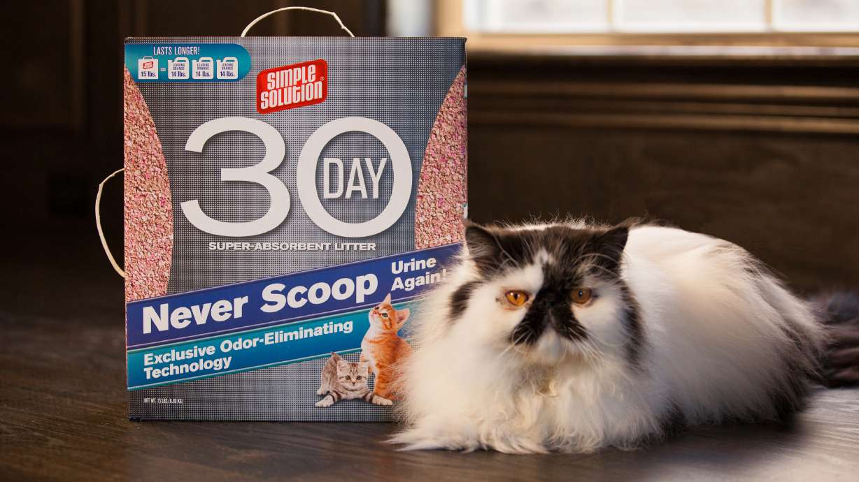 Designed for Busy Cat Parents Looking for a Hassle Free Litter their Kitties Will Love, Simple Solution is the Only Litter that Stays Odor Free for 30 Days