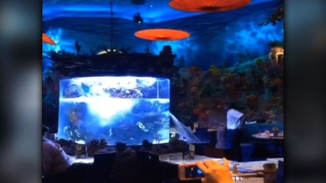 A Downtown Disney restaurant in Florida sprang 
a leak Monday as diners were enjoying their 
meals. A fish tank in the dinosaur-themed T-Rex 
Cafe's aquatic-themed area suddenly sent water 
spewing toward guests.