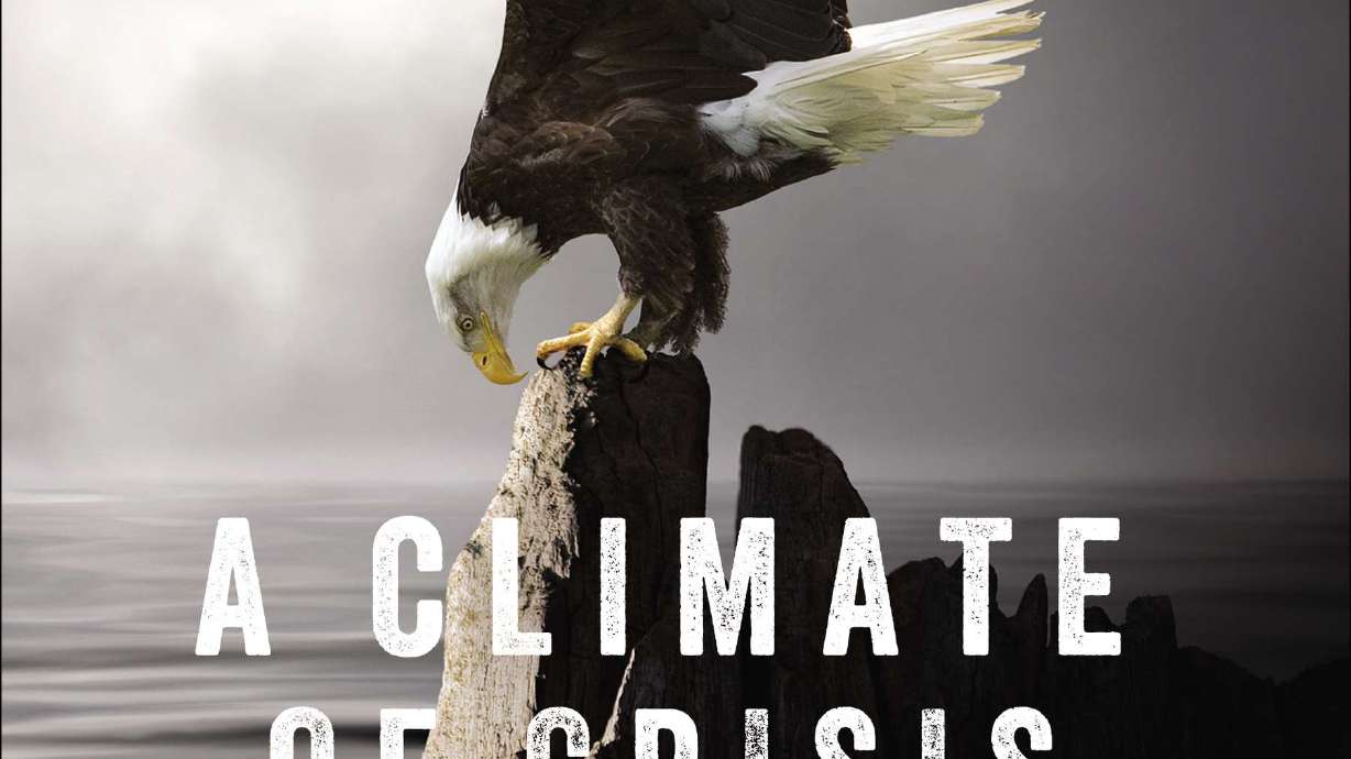 Allitt's new book reviews US environmental history