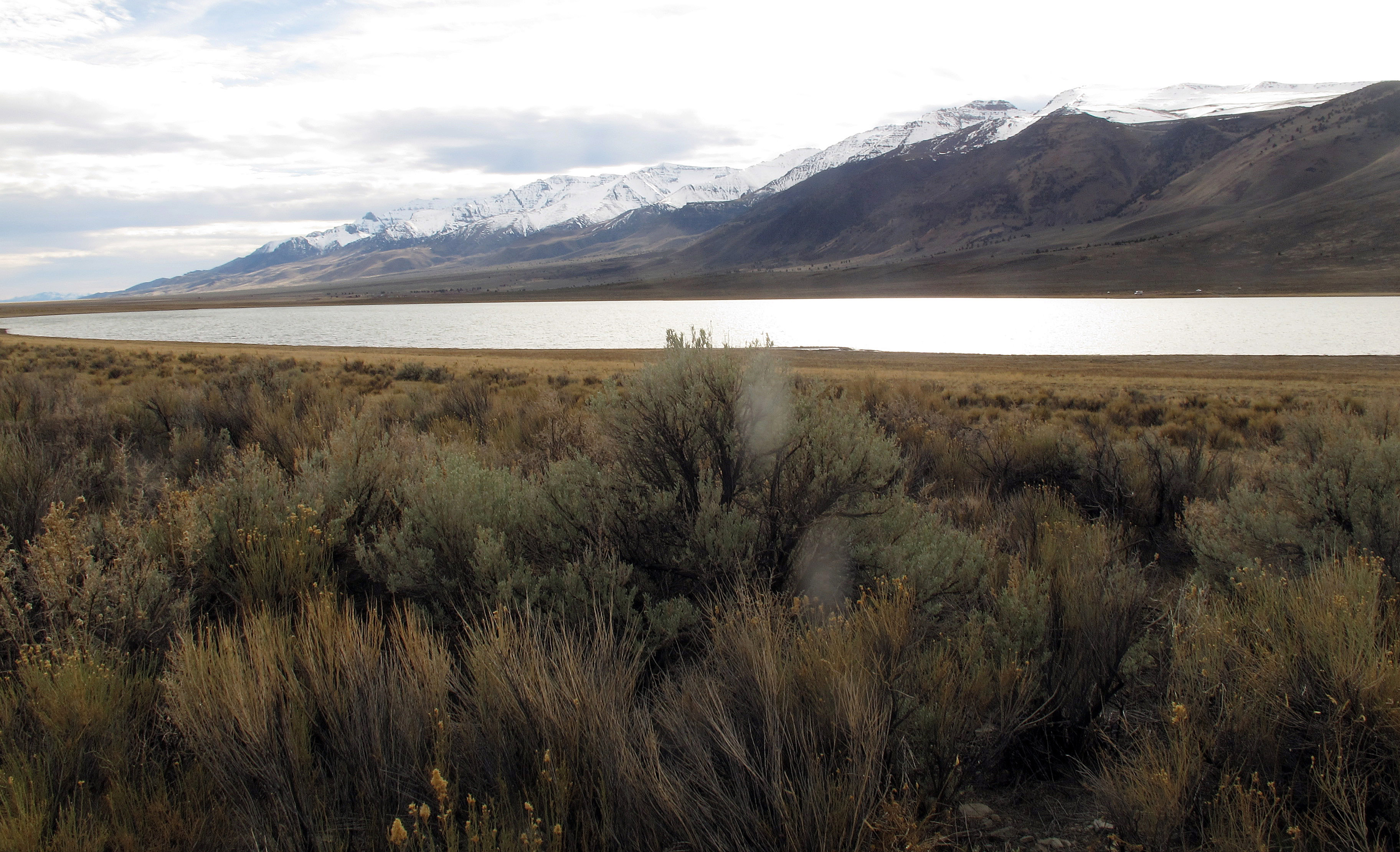 Cutthroat trout bounce back in remote lake