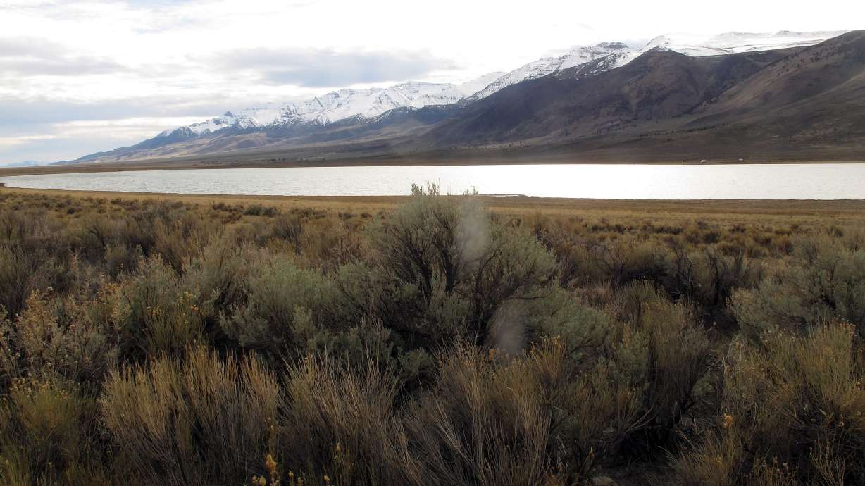 Cutthroat trout bounce back in remote lake