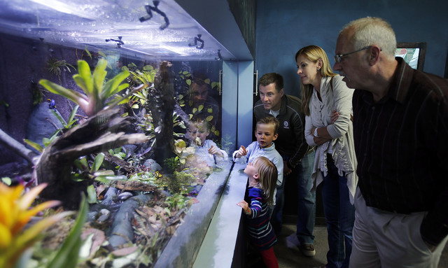 Living Planet Aquarium opens in Draper after 17 years - Img614 Living Planet Aquarium opens in Draper after 17 years - Img614