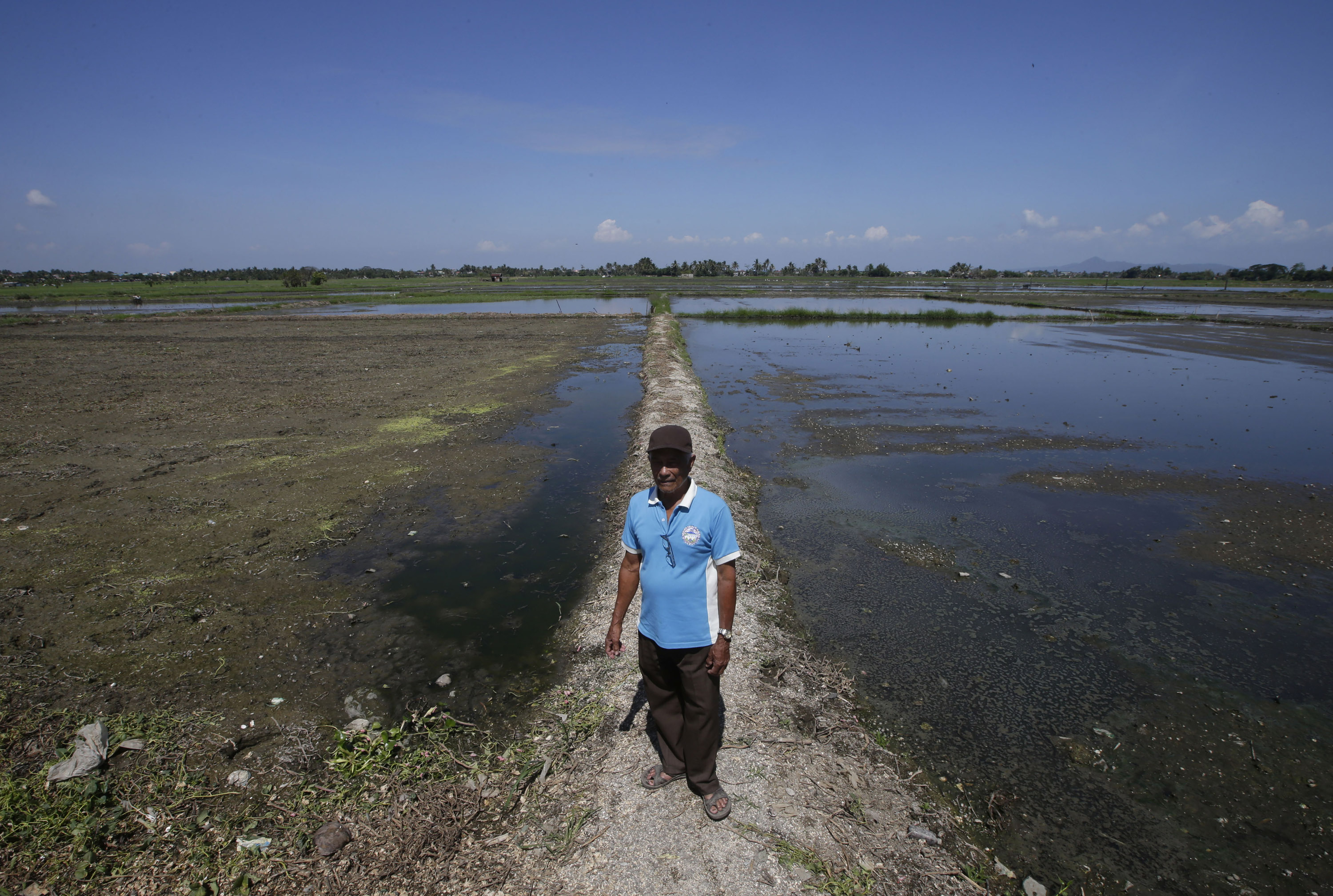 After Haiyan, Philippines expands crop insurance