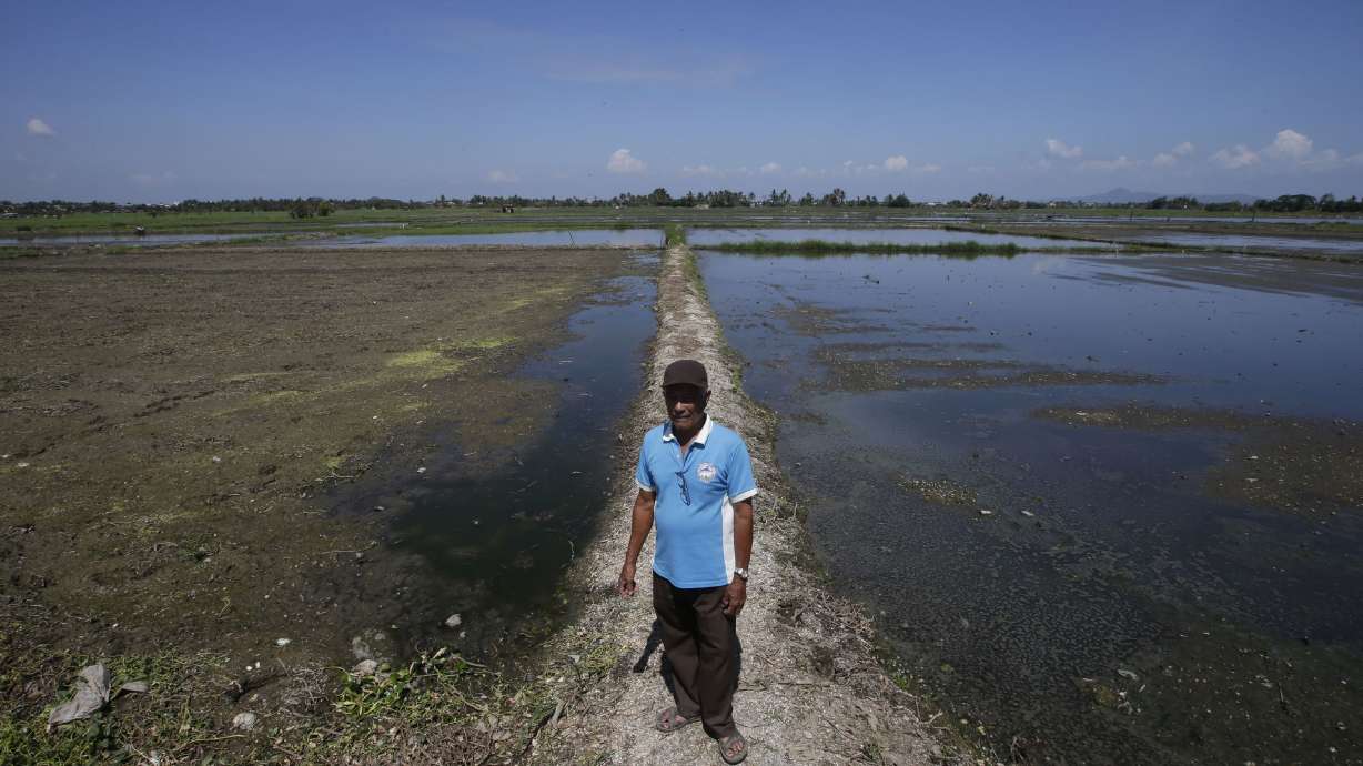 After Haiyan, Philippines expands crop insurance