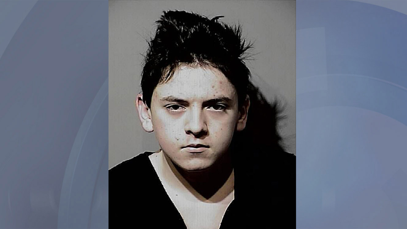 14-year-old boy says he planned slayings