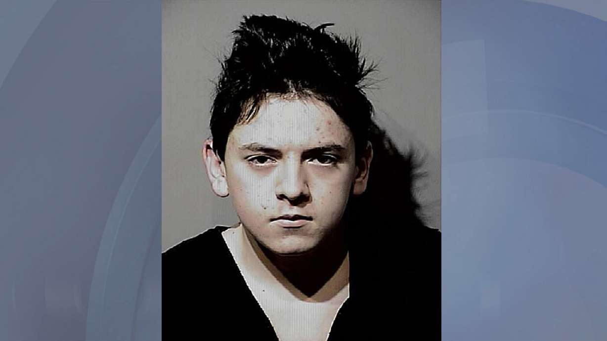 14-year-old boy says he planned slayings