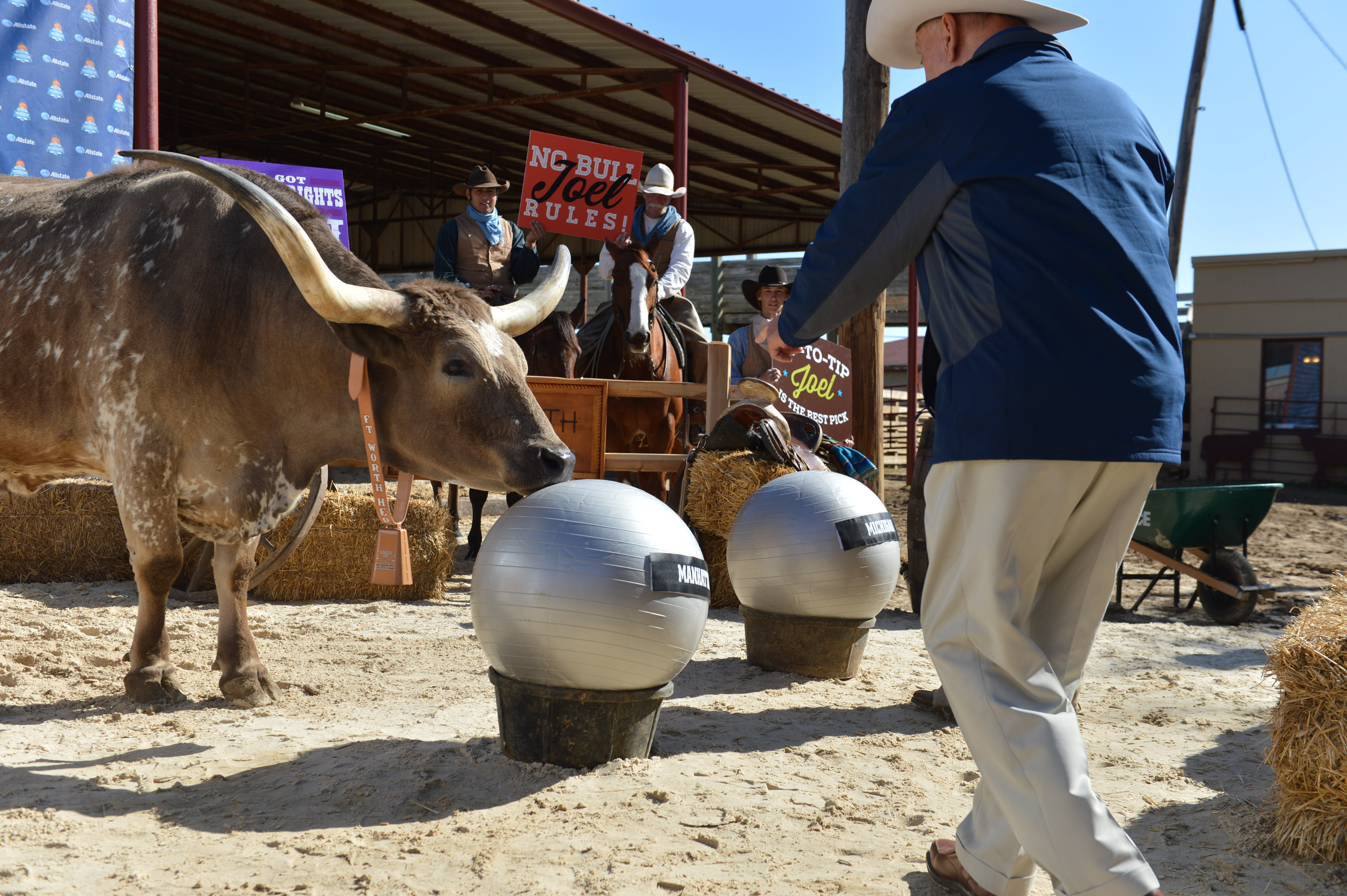 BracketRacket: Revenge is best served ... grilled?