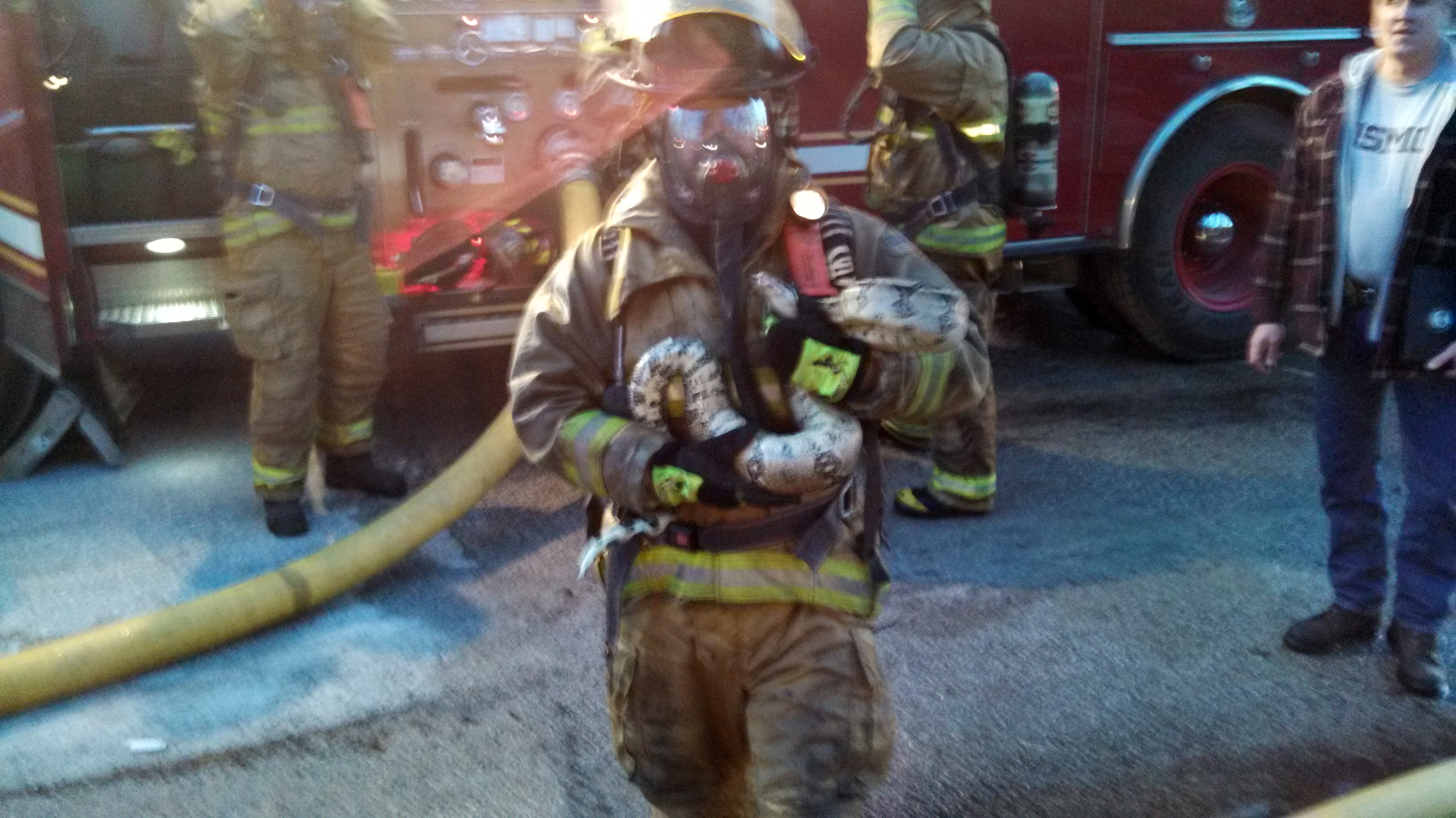 Firefighter rescues 7-foot snake from blaze