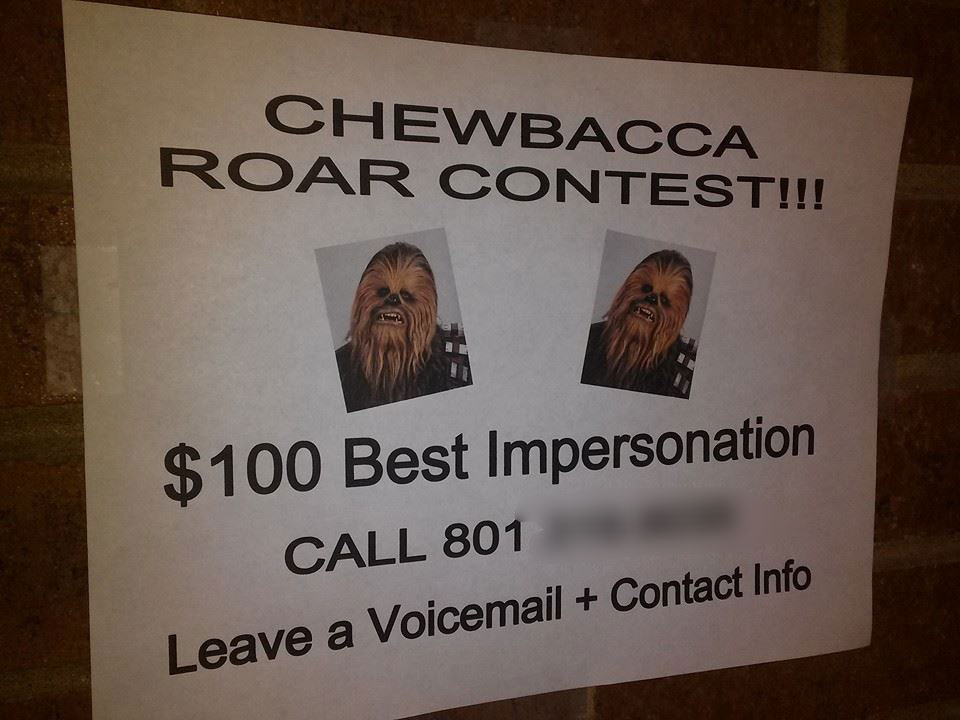 Photo Credit: Rob Sanders