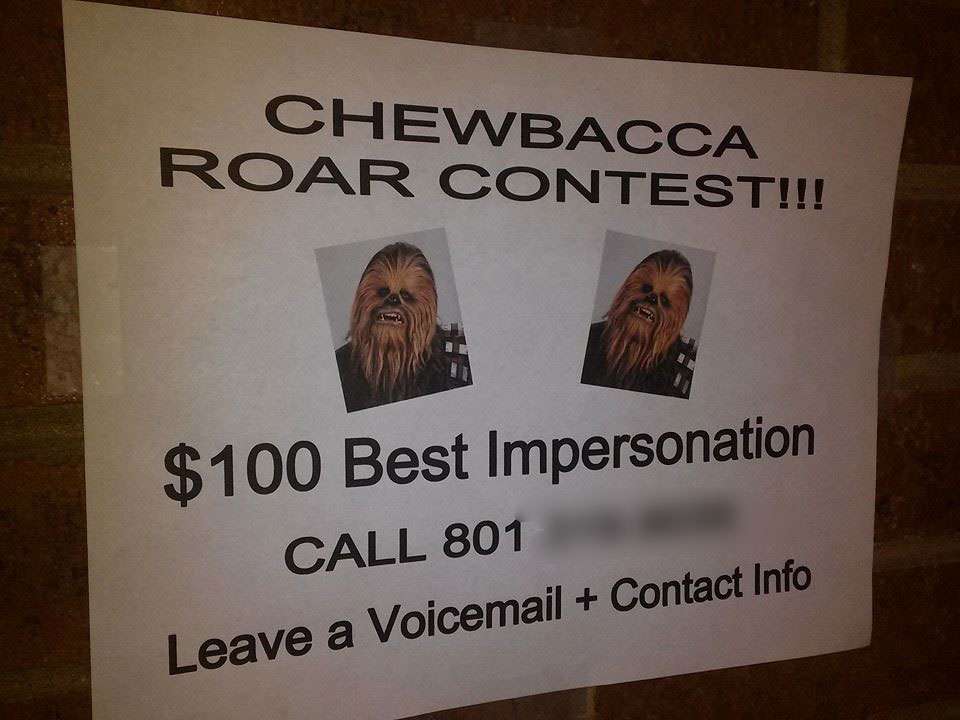 Photo Credit: Rob Sanders