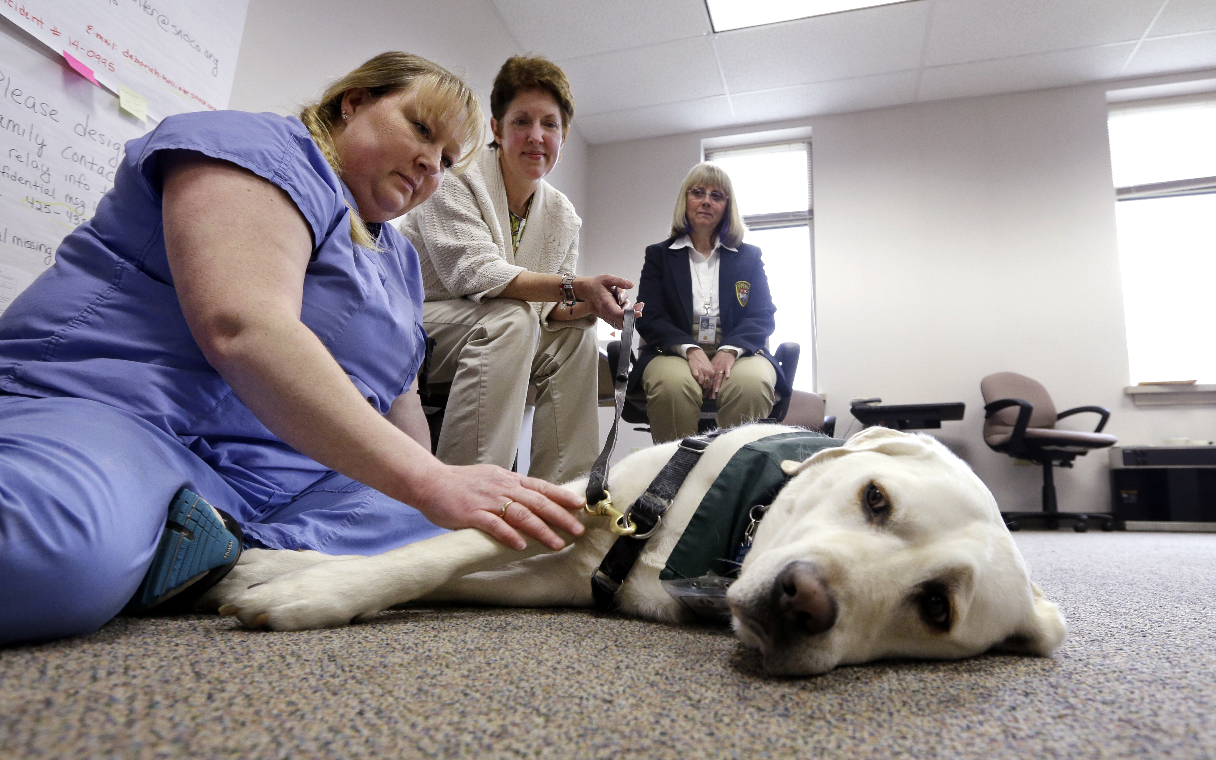 County weighed buying up homes in mudslide area
