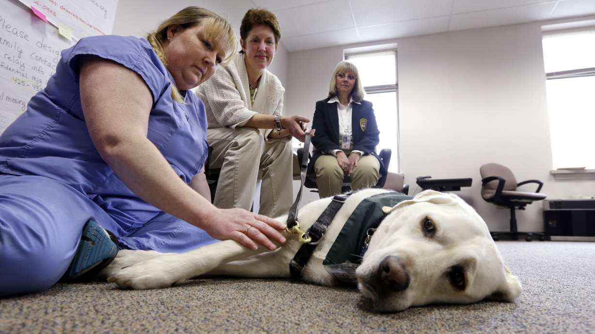 County weighed buying up homes in mudslide area