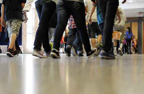 ‘Combate social’: La competencia por el estatus social incrementa el riesgo de acoso escolar (bullying).
