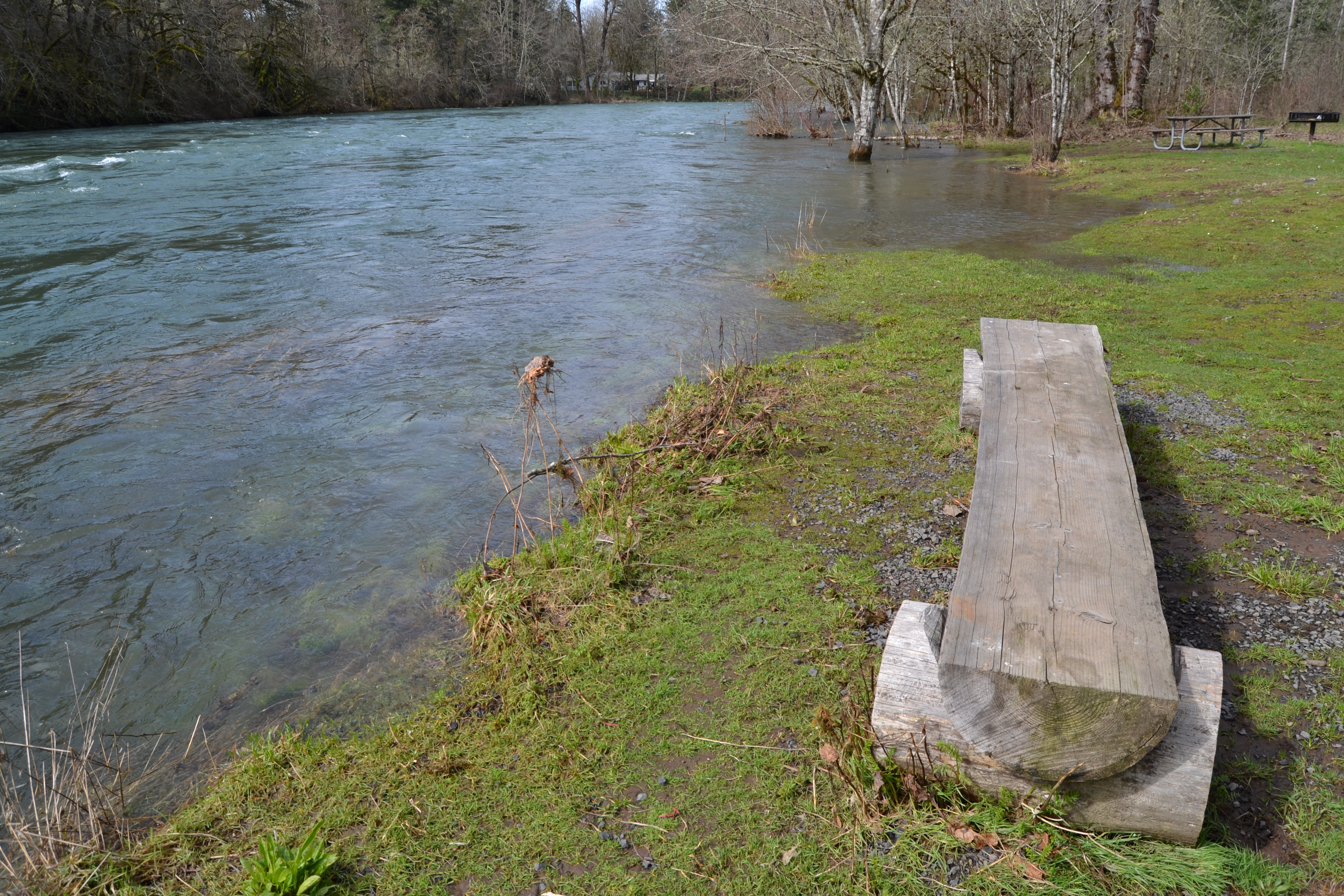 State park on N. Santiam River has much to offer